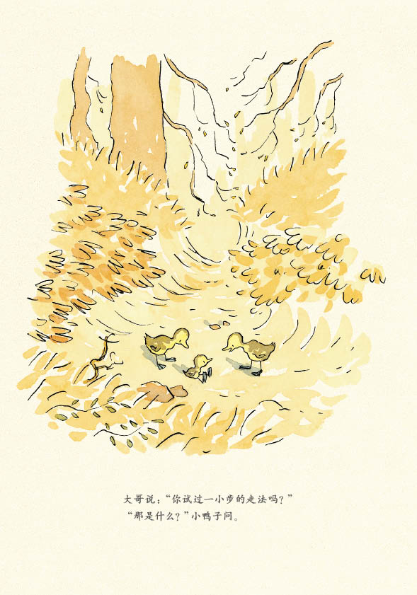 小步走路 (07),绘本,绘本故事,绘本阅读,故事书,童书,图画书,课外阅读